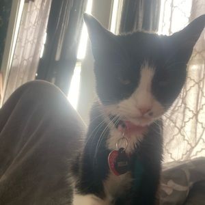 Meet your Posher, Jonathan